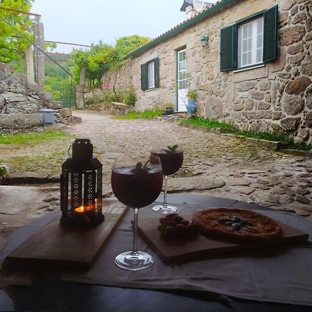 Casa Das Japoneiras Paredes de Coura Eksteriør billede