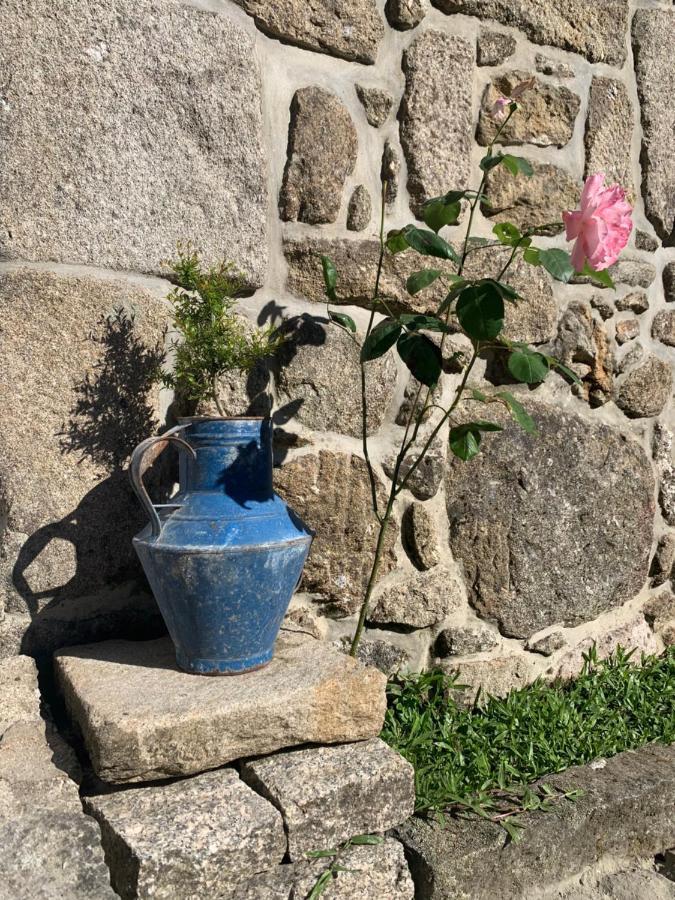 Casa Das Japoneiras Paredes de Coura Eksteriør billede
