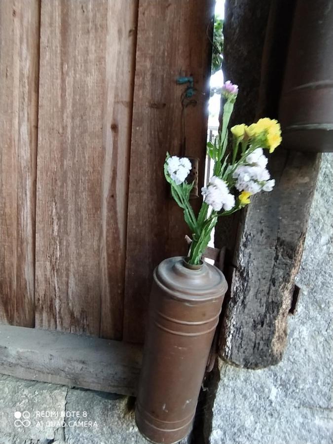 Casa Das Japoneiras Paredes de Coura Eksteriør billede